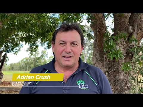 Transition 2 Success &#8211; Adrian Crush &#8211; Peirson Farms